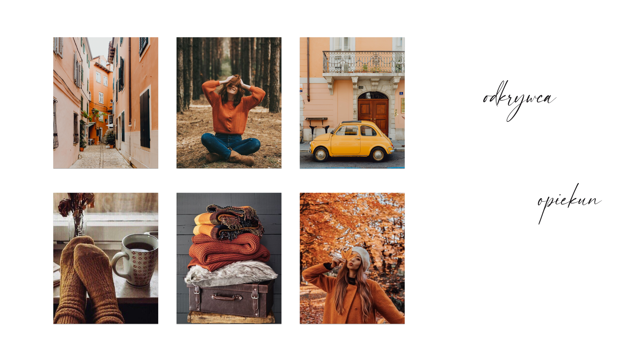 archetypy dla marek odkrywca i opiekun